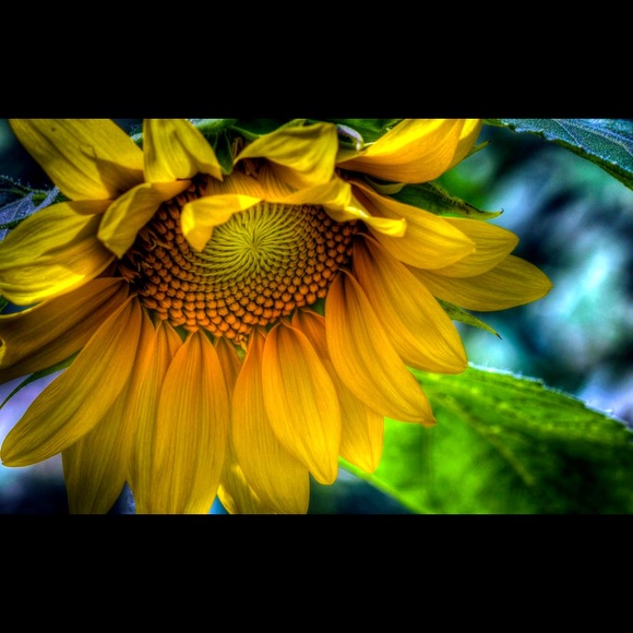 Meet your Posher, Vanessa - Picture 1 of 1